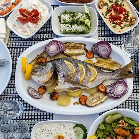 Отель Hola Bodrum 5*