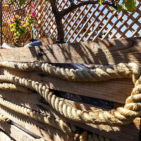 Hola Bodrum מוגלה