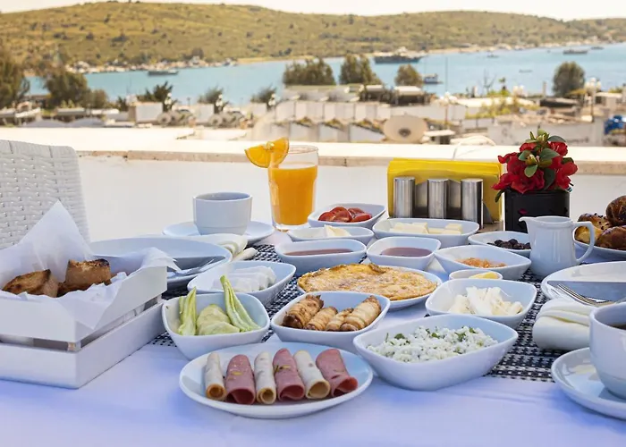 Hotel Hola Bodrum 5*