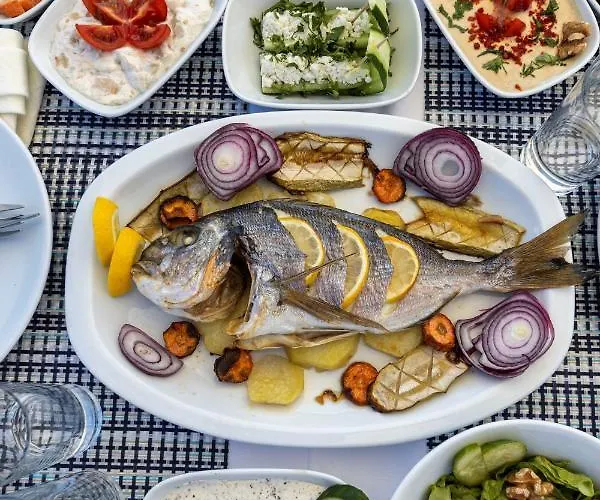 Hotel Hola Bodrum 5*