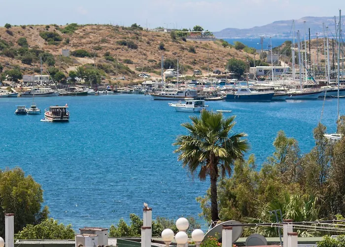 Hola Bodrum Muğla